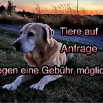 Wormis Bei Luckau *