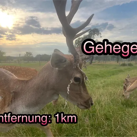 Wormis Bei Luckau * Heideblick